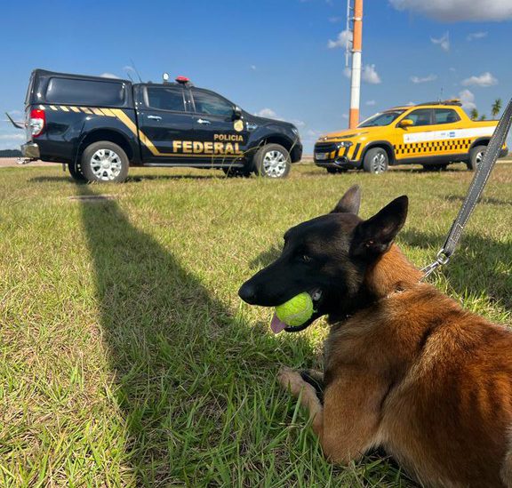 Pf Incinera Mais De Kg De Drogas Em Vilhena Vilhena Not Cias